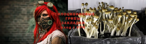 дистиллят марихуана Алзамай