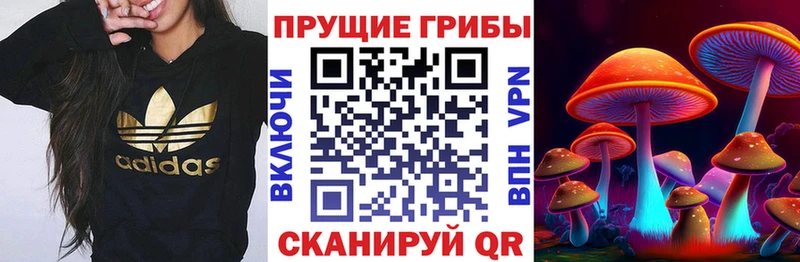 hydra ONION  Аргун  Галлюциногенные грибы мицелий  продажа наркотиков 