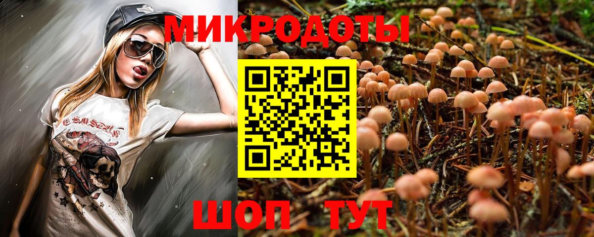 Галлюциногенные грибы Cubensis  Вход с VPN  Аргун 