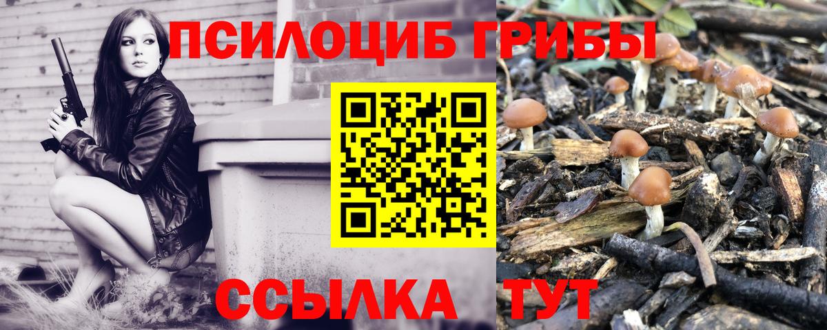 Псилоцибиновые грибы Magic Shrooms Аргун